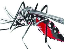 Pemkab Bojonegoro Melalui Dinas Kesehatan Ajak Warga Waspadai Demam Dengue